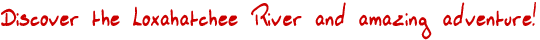 Discover the Loxahatchee River and Amazing Adventure!