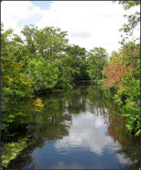 Loxahatchee River