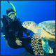 Loggerhead Marinelife Center