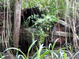 Long Lost Structure