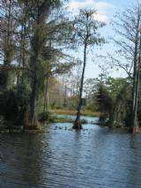 Old River Run