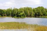 Cow Pen Lake B Betts
