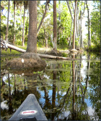 Riverbend Park Boating